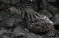 Haldaři v OKD nelegálně kopou uhlí v prostorách, kde je vstup zakázan. 