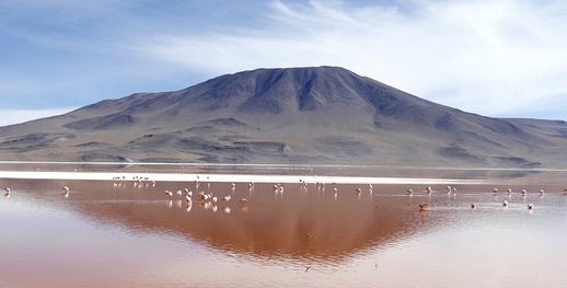 Laguna Colorada v Bolívii.