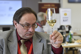Na snímku z letošního Salonu vín je degustátor Petr Poizl.