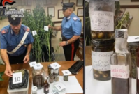 Policisté zabavili dvě rostliny a dalších 500 gramů marihuany.